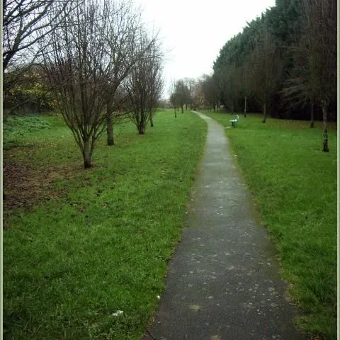 thumbnail for publication: Helping Your Teenager Discover Spirituality